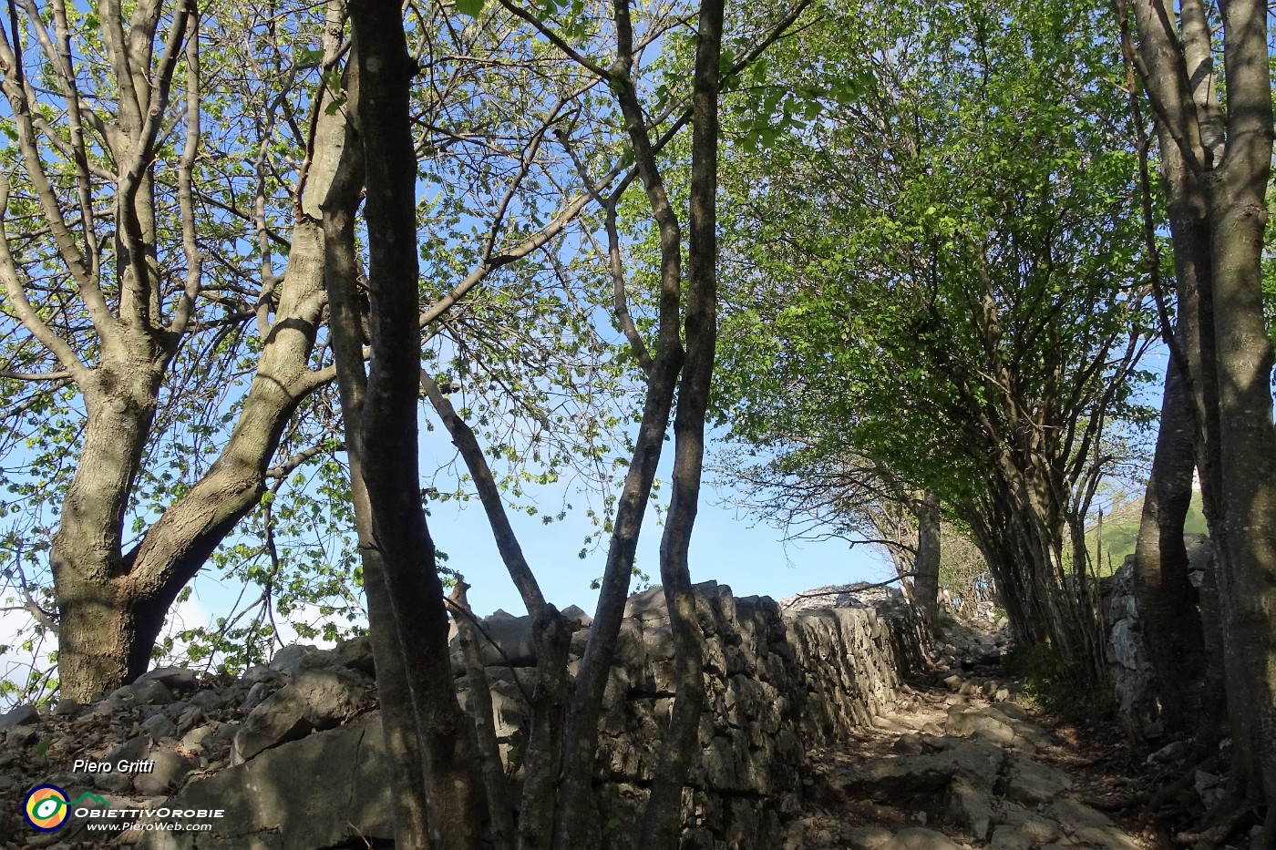 11 Sent. 571 per il Linzone.JPG